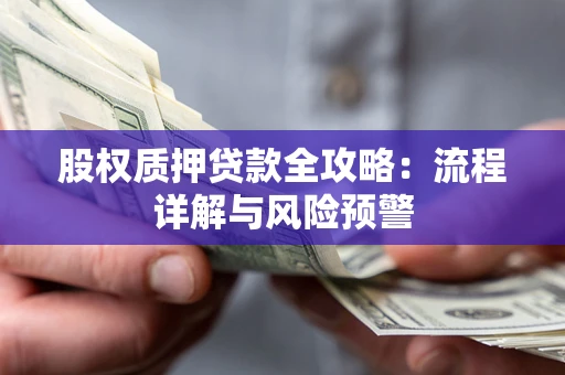 北京股权质押贷款全攻略：流程详解与风险预警