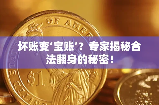 北京坏账变‘宝账’？专家揭秘合法翻身的秘密！